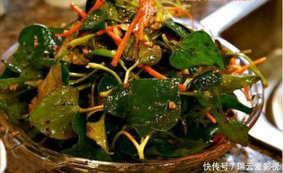  实惠|简简单单的几道家常菜，下饭好学特实惠，学会在家露一手！