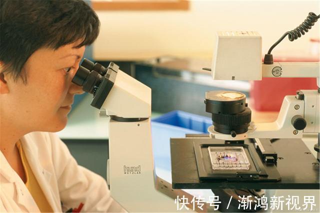 院士|多位院士糖尿病怕1种“零嘴”,每天吃一点,恢复胰岛功能