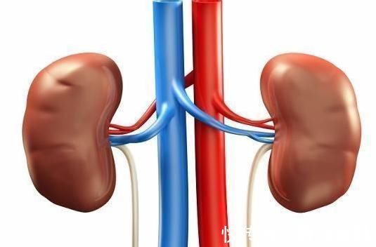 男性|男人早上起床第一次小便，如果没有三个迹象，肾脏可能会很强壮！