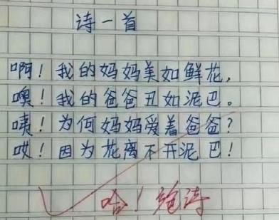 “神仙小学生”写诗走红网络，快来看看你达到小学生水平了吗？