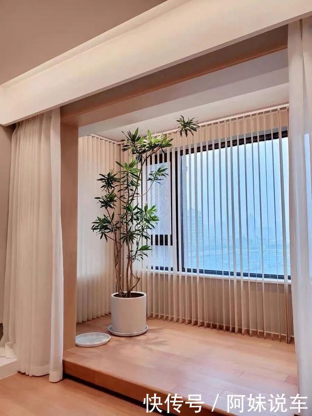 风水|客厅养花就选这六种，寿命长、寓意好，省心又好养，你家养了几种