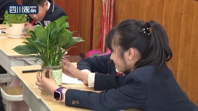 植树节特别的一课：我来栽下一棵树