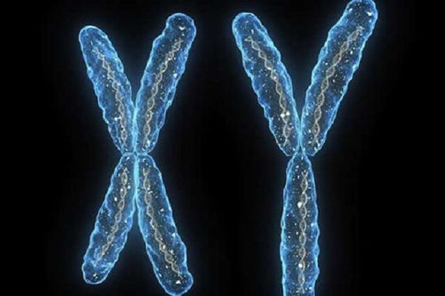 胎儿|孕期第几周能看出“胎儿性别”这个时间段,B超医生一眼能看出