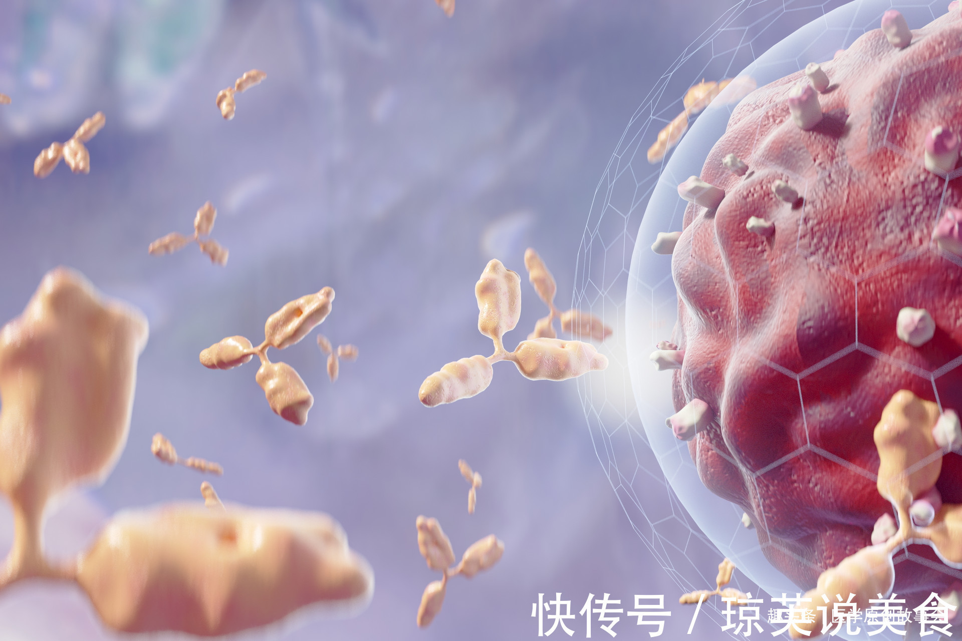 科主任|癌症治与不治都是死,不如花钱游山玩水肿瘤科主任说出了大实话