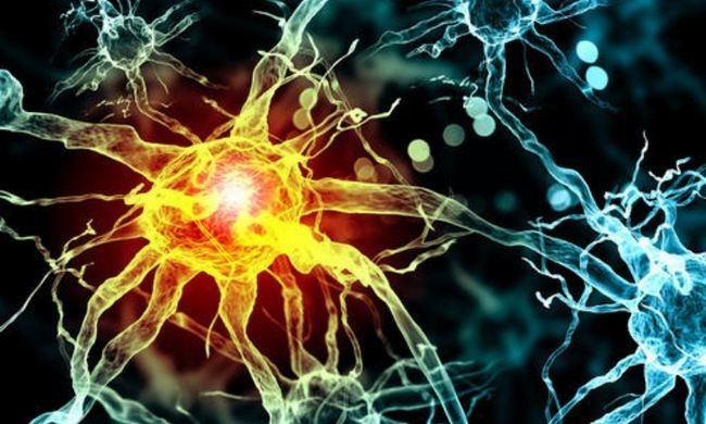 世卫组织|比油盐更伤血管，世卫组织呼吁停止食用，高血压病人或需要重视