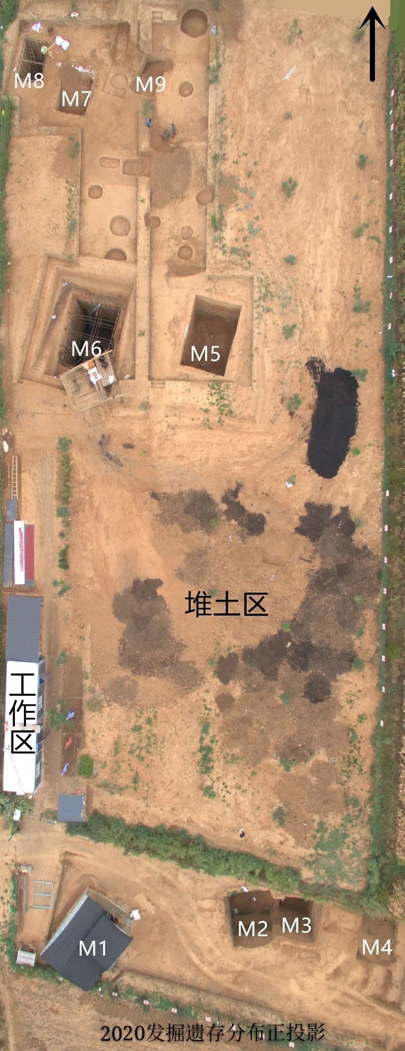  重器|山西重大新发现：垣曲北白鹅出土周代虢国重器