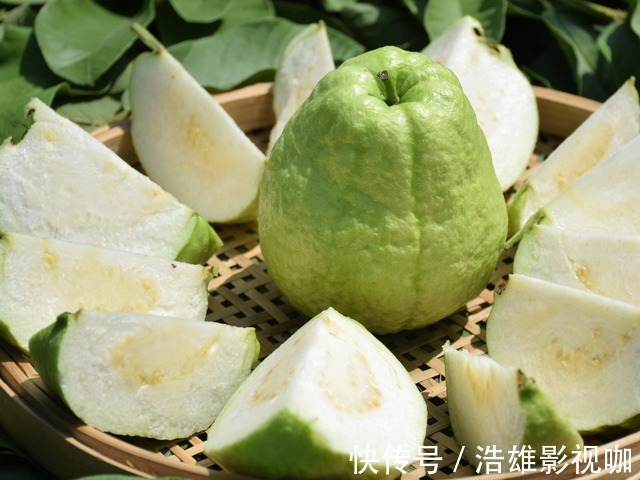 肺病|肺的天然“救星”来了，平时多吃点，清肺化痰帮你保护肺！