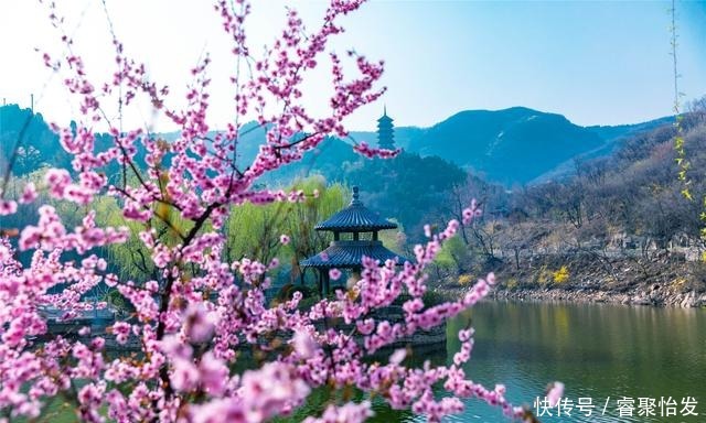 走，带上家人去野餐！《济南春日野餐指南》请收好！