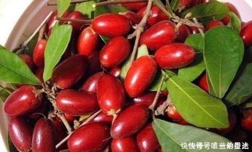 这6种水果,吃过三种以上的就是土豪!第3种是国宝级的珍贵植物!