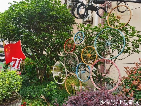仙境 惊艳！上海老人在小区造“仙境”景点，家门口种花搞出各种名堂