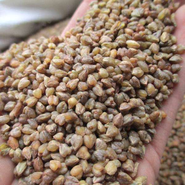 心脑血管|高血压还傻傻只吃药教你一招不吃药不花钱，血压轻松降