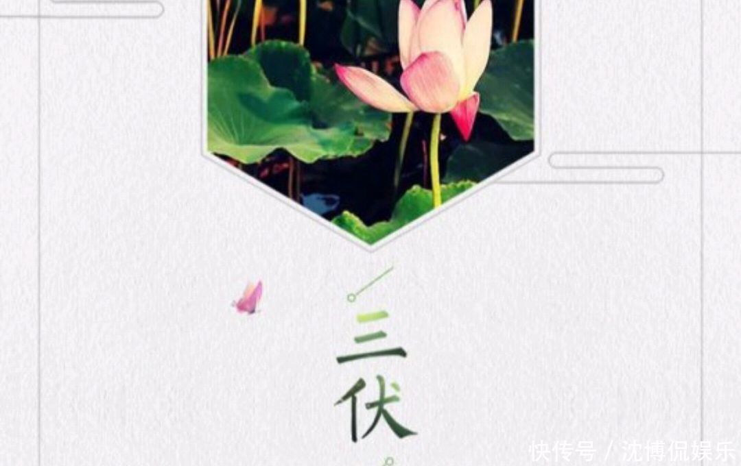 三伏天养生|三伏天做到“一个不”,“两个要”,逼走寒湿,通经活络,身体好