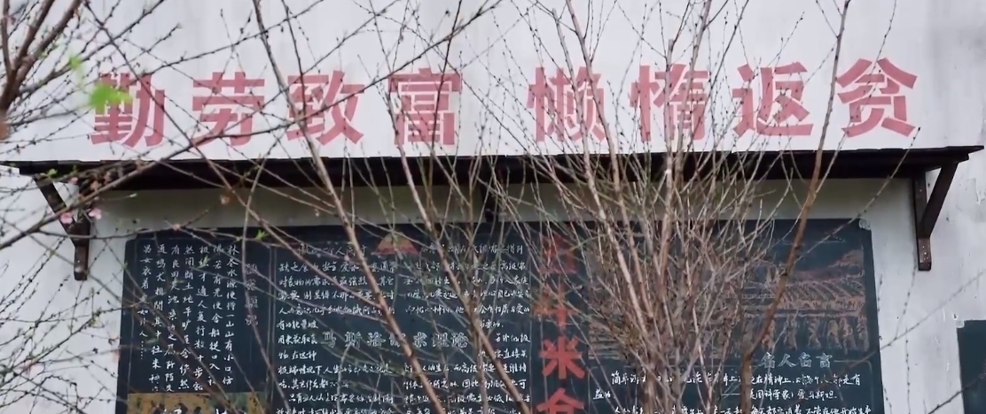 蘑菇 《向往5》仅开播一期,节目组就栽了两个大跟头,这一季真变味了