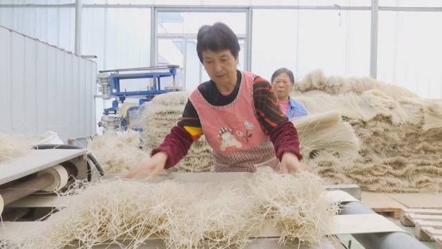 油茶籽|年销售额预计破百万!解锁含山这个村子的“财富密码”