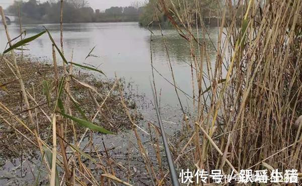 窝点|冬季钓鱼找鱼窝技巧,学会冬钓歌,不惧天寒地冻,越钓鱼越多