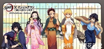 鬼灭之刃|《鬼灭》联动猫咪主题,花江夏树的猫也有出境?谁的猫咪更可爱?