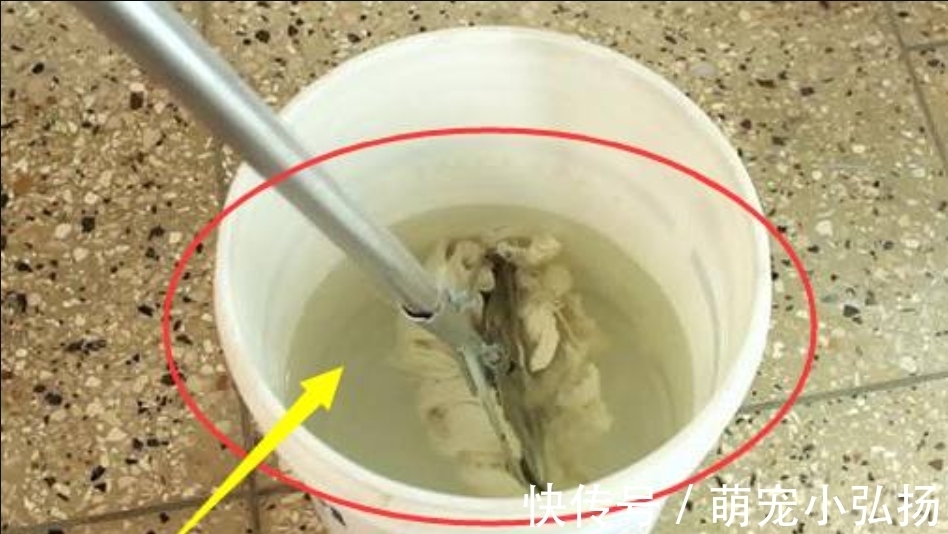 再见了洗衣粉!中国又一伟大的“小发明”,放一片,地板一星期不用拖