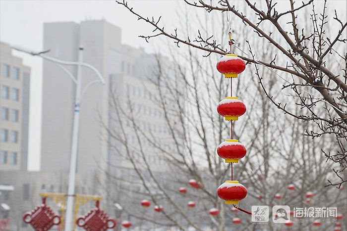 初雪｜虎年初雪映垦利 银装素裹兆丰年