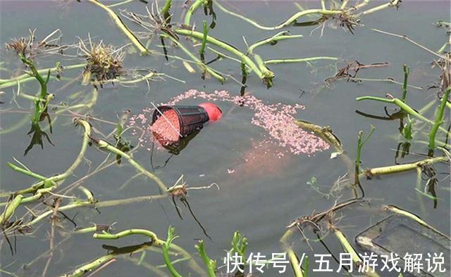 冬季天冷鱼“懒”,3个步骤,把饵递到鱼嘴边,没有撬不开的鱼嘴