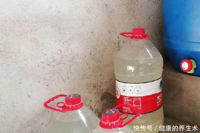 不敢用淘米水了,浇完花就死,土里都是虫!不敢用淘米水了,浇完花就死,土里都是虫!