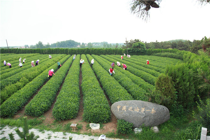 山海天旅游度假区：满足你对大海的全部想象|美景山东| 山东