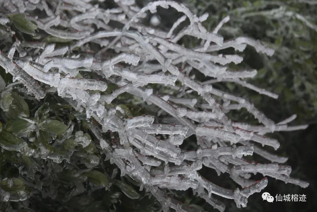 大明山赏雾凇