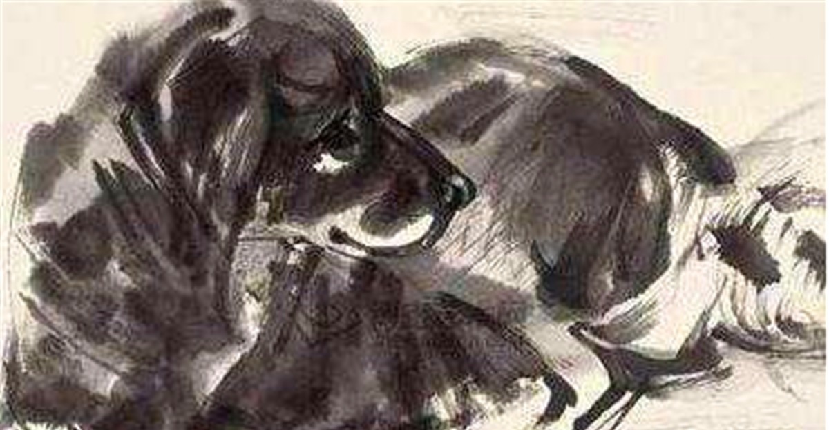 民间俗语“狗肉不上桌”,为啥狗肉不能上桌背后有大讲究!