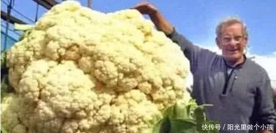 最小|吉尼斯世界之最:最小“樱桃小嘴”女生创下纪录,吃东西都费劲