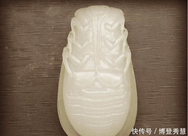 寓意|雷达厂修理时,爆破出一战国古墓,墓主口含蝉玉,寓意颇深!