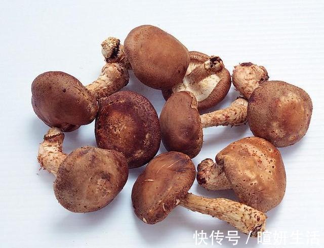 蕨菜|人睡三觉，命比纸薄，人吃三饭，寿命减半，说的都是啥