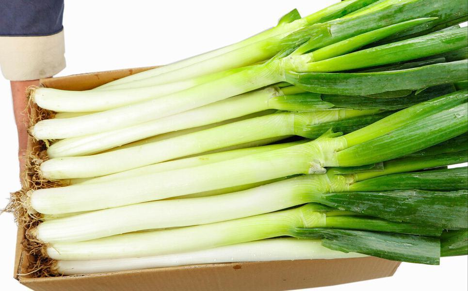 冬天大葱如何保存?教你3个好方法,平房楼房都适用,新鲜不烂根