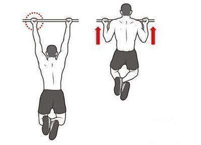 肌肉|每天拉引体向上,10个一组,一共30组,这样能增加力量和肌肉吗