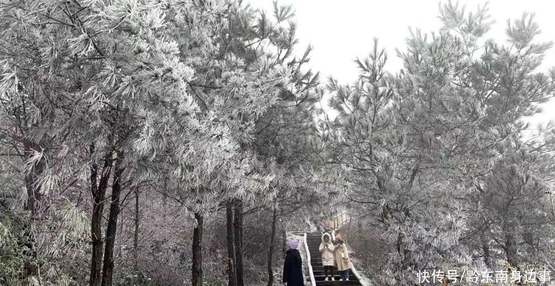 路段实施|凯里小高山一夜白头 最美雪景如约而至