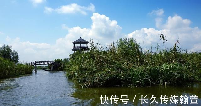 三道茶|浙江最大的湿地景点，离杭州不远，人少景美，防风女婿茶更是有趣