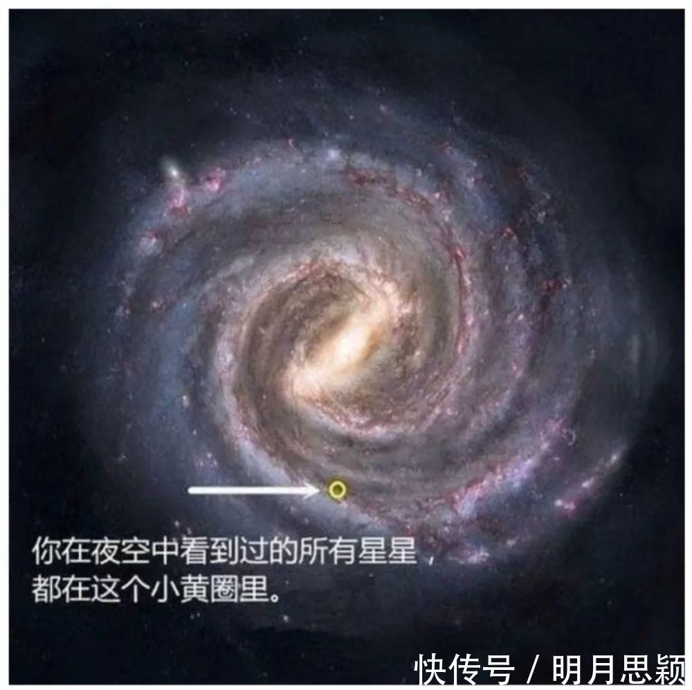 动态平衡&天敬:永恒的对立统一——再读《矛盾论》有感