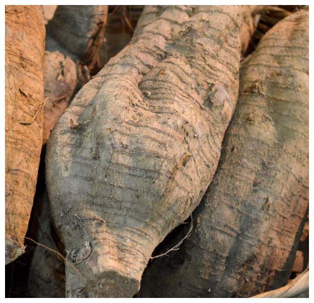 美容养颜|女人再节俭6种碱性食物也要吃,补充天然雌激素,防早更显年轻