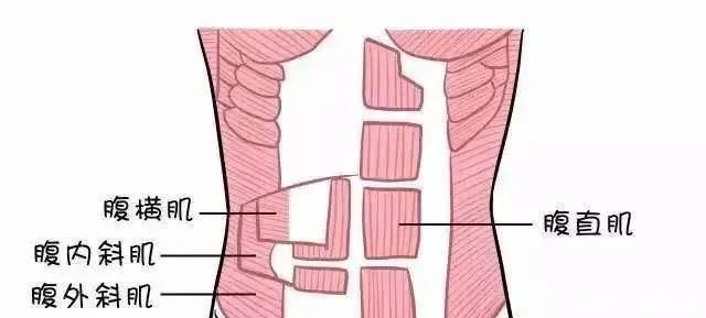 脂肪率|跑步解决不了腹肌，2个核心训练有傲人的马甲线条