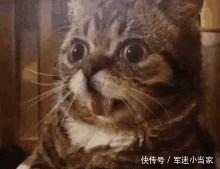 着陆 土特产谁家都有,但是你见过月球的“土特产”么它带回来了!