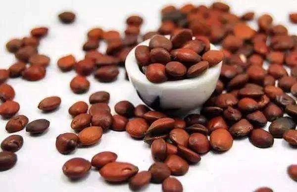 维生素c|睡不着、睡不好试试这碗安神汤,让你沾床就睡!