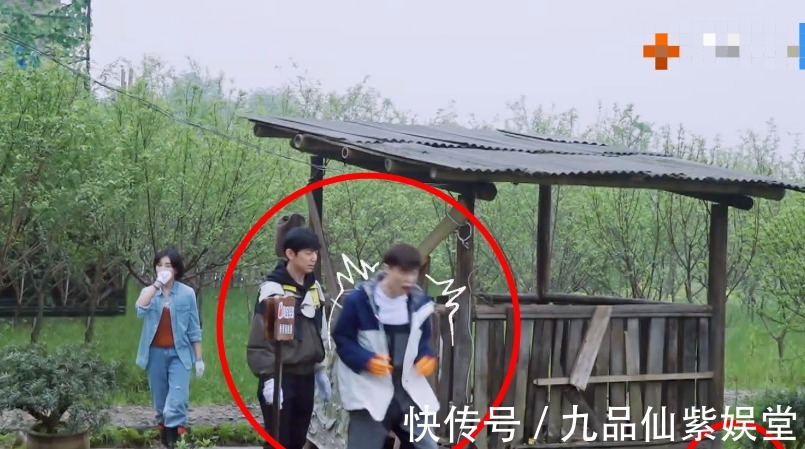 子枫妹妹|张艺兴被彩灯吓到大叫,转身扑进何炅怀里,子枫妹妹的表情成焦点