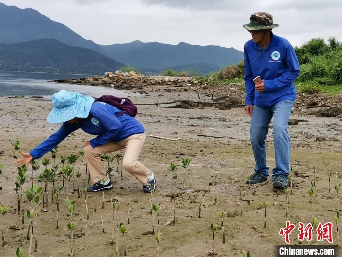 惠州市委宣传部|七旬夫妇热衷海洋环保志愿活动被誉为“专业看海蓝精灵”