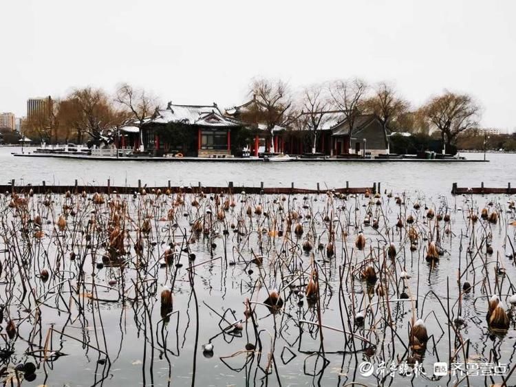 雪后水墨雅韵大明湖，简洁唯美让人贪恋