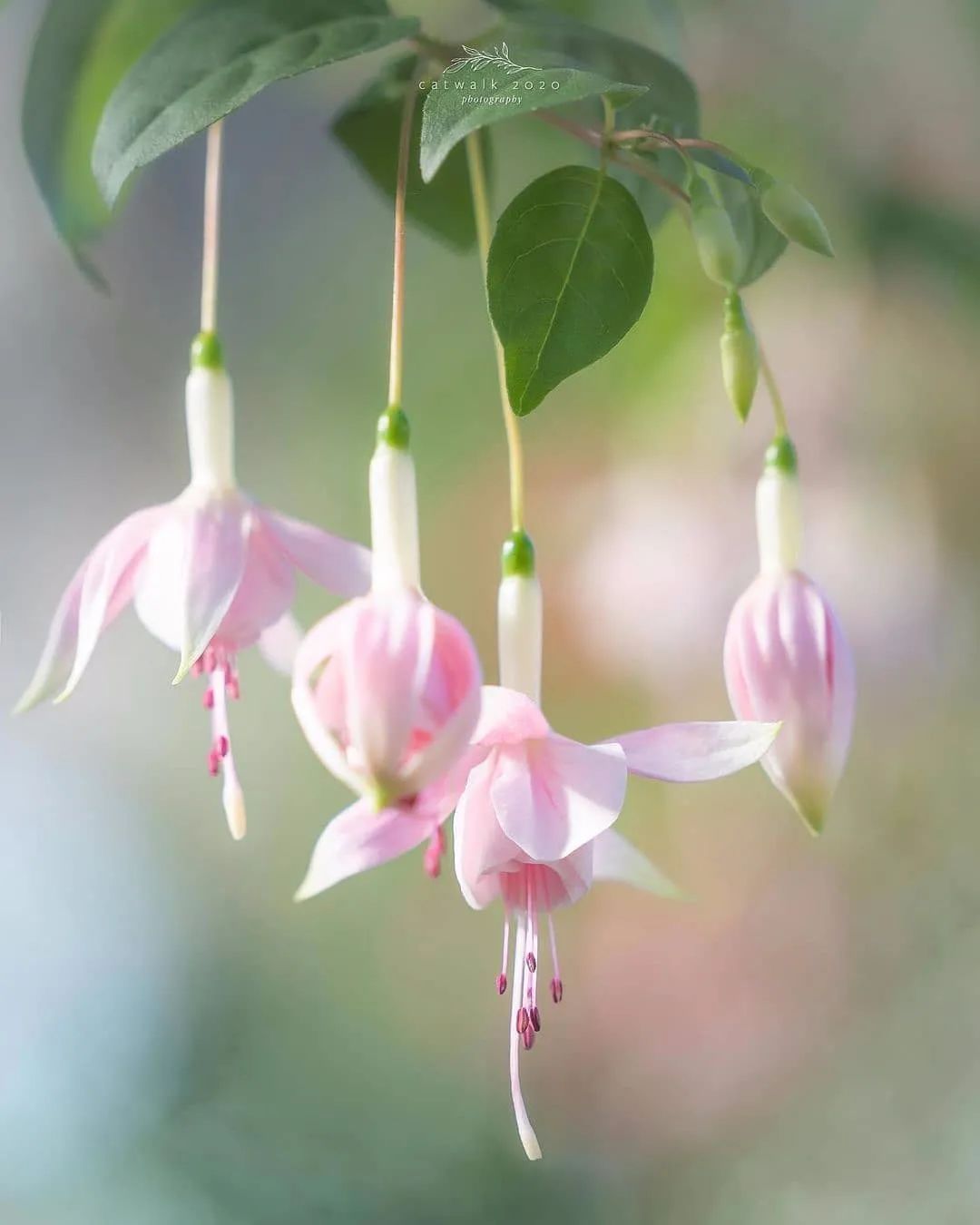 荐读|荐读——人生的最高境界,就一个字:给!