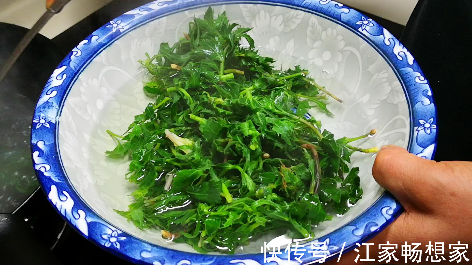 鲜嫩|此菜浑身都是宝,很多人却当草,鲜嫩营养高,蒸着吃特香!