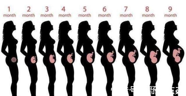 显怀|准妈妈肚子何时“偷偷”变大的孕期是否显怀,跟4个因素有关