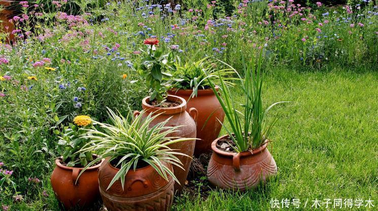 韵味|用这些“物件”当容器养花,打造漂亮花园,看上去更有韵味