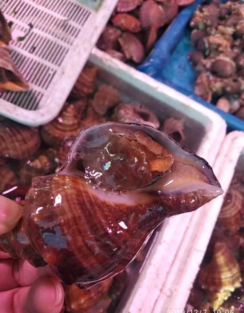 哪里海鲜好吃？