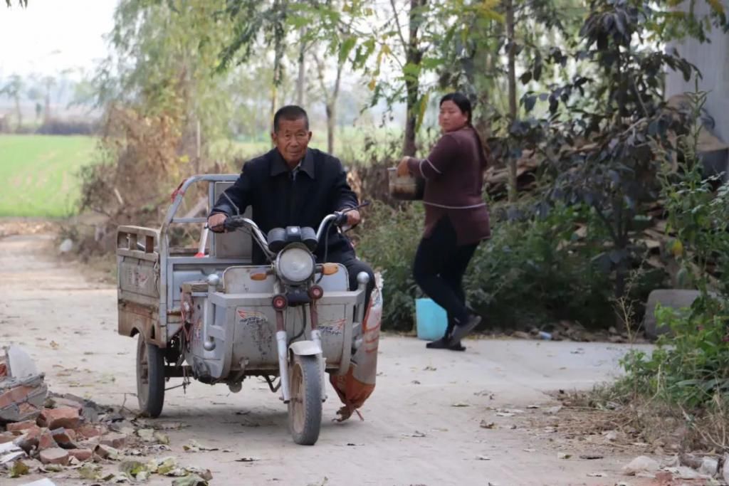 乡村|丰县乡村的十一月，样子真美！