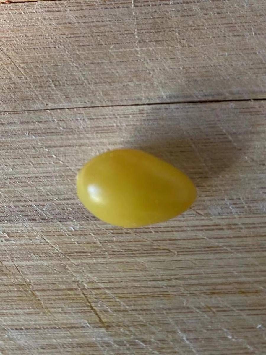 青未了|荒芜中照见的美好