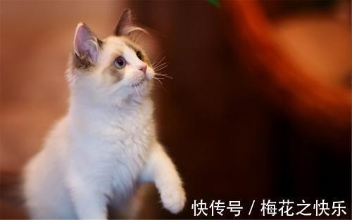 |幽默笑话:老婆是家中的独女,当年老丈人一直在让老婆练习跆拳道